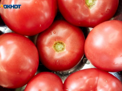 Стоимость огурцов и помидоров снова выросла на Ставрополье