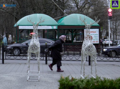 Заморозки и снег придут на Ставрополье после 20-градусной жары 