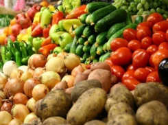 Сразу по двум адресам смогут закупиться продуктами к зиме жители Ставрополя