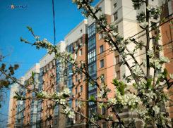 Лакомые квартиры могут появиться по соседству с Таманским лесом в Ставрополе