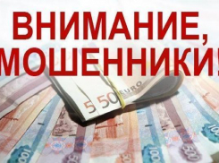 Дерзкая мошенница представлялась председателем общественной организации