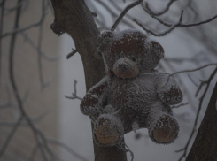 Погода в Ставропольском крае 27 января 2026: грядут аномальные морозы до -20 и штормовой ветер
