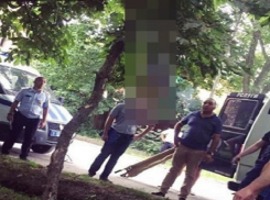 Жуткая трагедия: молодого мужчину нашли повешенным в поселке на Ставрополье