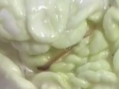 Омерзительного червя в «Цезаре» обнаружила жительница Кисловодска в одном из «общепитов» 