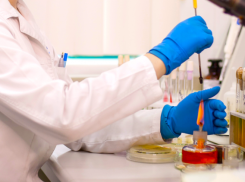 Остатки ветеринарного препарата нашли в колбасе на Ставрополье