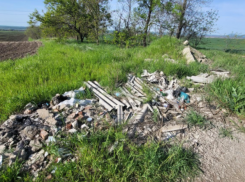 Из-за свалки на землях сельхозназначения администрации Георгиевского округа предъявлена досудебная претензия