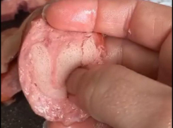 Поролон в колбасе шокировал жительницу Ставрополья — видео