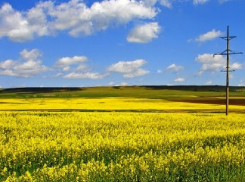Начало рабочей недели будет не жарким и без осадков на Ставрополье