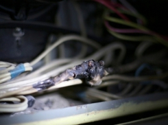 Из-за короткого замыкания произошло задымление в приемной главы Кисловодска