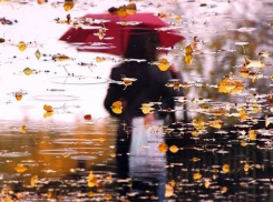 Дожди и холод испортят погоду в среду на Ставрополье