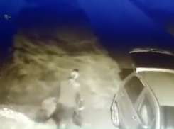 Женщина выкопала чужие кусты и попала на видео в Ставропольском крае