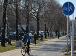 В Ставрополе общественники заступились за велосипедистов