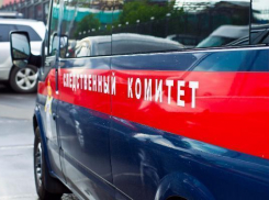 В роддоме Ставрополья мать убила новорожденного во время кормления