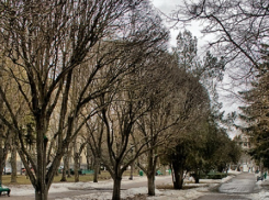 В первый день февраля  на Ставрополье ожидаются морозы и сильный ветер