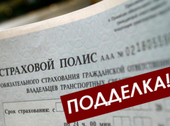 Нет «поддельным» полисам ОСАГО!