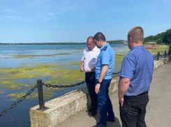 Вонью от Новотроицкого водохранилища на Ставрополье заинтересовались надзорники