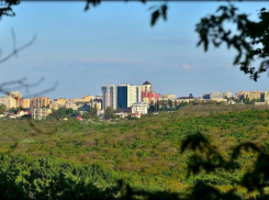 Ставрополь озеленят более чем на 20 тысяч деревьев в 2017 году