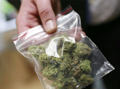 Житель Ставрополья нарвал марихуаны около входа в кафе