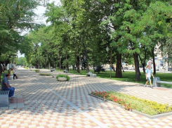 Новая липовая аллея появится на улице Пушкина в Ставрополе 