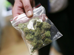 На Ставрополье мужчина занимался сбытом марихуаны в особо крупном размере
