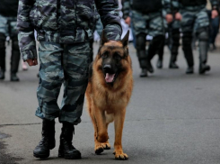 Здание мэрии Кисловодска оказалось «чистым»