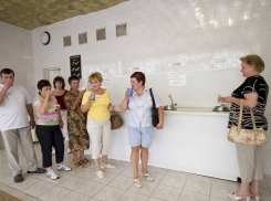 Затраты на контроль за куроротным сбором могут превысить доходы от него на Ставрополье