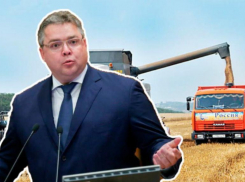 Очень много мы делаем: губернатор Ставрополья о роли краевых властей в конфликте колхоза «Россия»