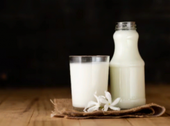 На Ставрополье произвели 117 тонн молока из «ничего»