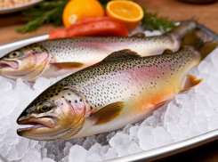 Опасный малахитовый краситель нашли в форели на Ставрополье