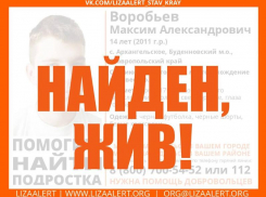 Пропавшего 14-летнего мальчика ищут на Ставрополье