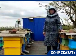 Это такое импортозамещение? Обработка полей на Ставрополье привела к массовой гибели пчел 