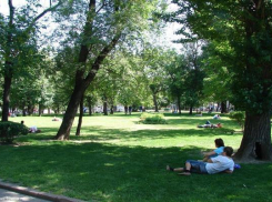 Под скверы в Кисловодске «зарезервировали» 17 га земли