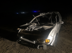 Два человека погибли после столкновения ВАЗа с лошадью и автобусом на Ставрополье
