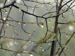 До +10 и пасмурно: погода во вторник не порадует ставропольцев