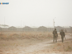 От миллиона до ста тысяч: на Ставрополье снизили выплаты за награды бойцам СВО