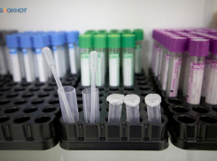 Ставропольских туристов предупредили о риске заразиться лихорадкой денге