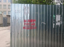 Лозунг ЛДПР с неприличным словом появился на стенах и мусорниках Невинномысска