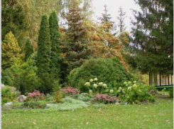 В шестилетнем споре Ботанического сада и налоговиков поставлена точка