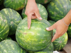 Как выбрать спелый арбуз, - советы ставропольского эксперта 