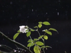 Ставрополь под зонтом: среда подарит дождь и температуру до +4 градусов