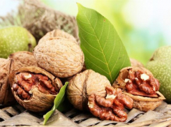 Ореховый сад за 105 млн заложат на Ставрополье