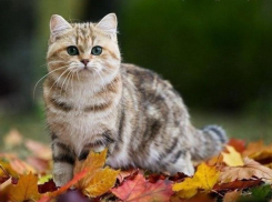 Во вторник в Ставрополе будет тепло 