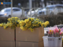 Дождь и гололед спрогнозировали жителям Ставрополья 8 марта