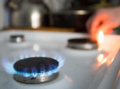 На Ставрополье правоохранители вычислили воровку газа