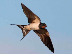 В Ставрополе 8 сентября берегитесь ледышек с неба