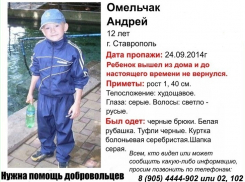 Мальчика, пропавшего в Ставрополе, нашли гуляющим по улице