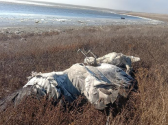 ​​Экоцидом ученый назвал массовую гибель животных на Ставрополье