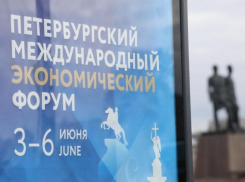 Какие соглашения подписал Ставропольский край на ПМЭФ-2026