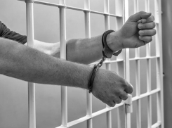 Бывшего главу налоговой службы Ипатово Олега Ниценко отправили за решетку