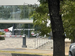 Известный миллионер из Ростова Баста открывает свой ресторан в Ставрополе